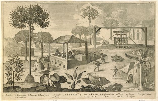 Plate illustrating the stages of sugar’s production. Set in a landscape with tropical plants and palm trees, Black individuals are shown working in different stations, each of them identified with a number that corresponds to a label written in French at the bottom of the scene. Another figure is shown wearing a hat and pointing with a long gun towards the individuals carrying loads of cane.