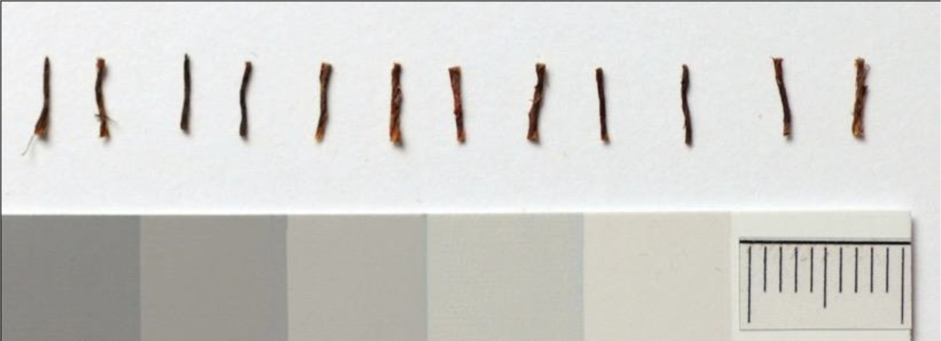 Photo of 12 yarn pieces laid side-by-side atop a white table.