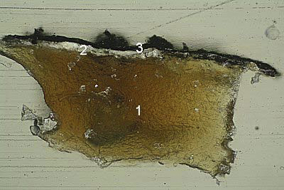 Close up photo of dried, yellowed glue paste.