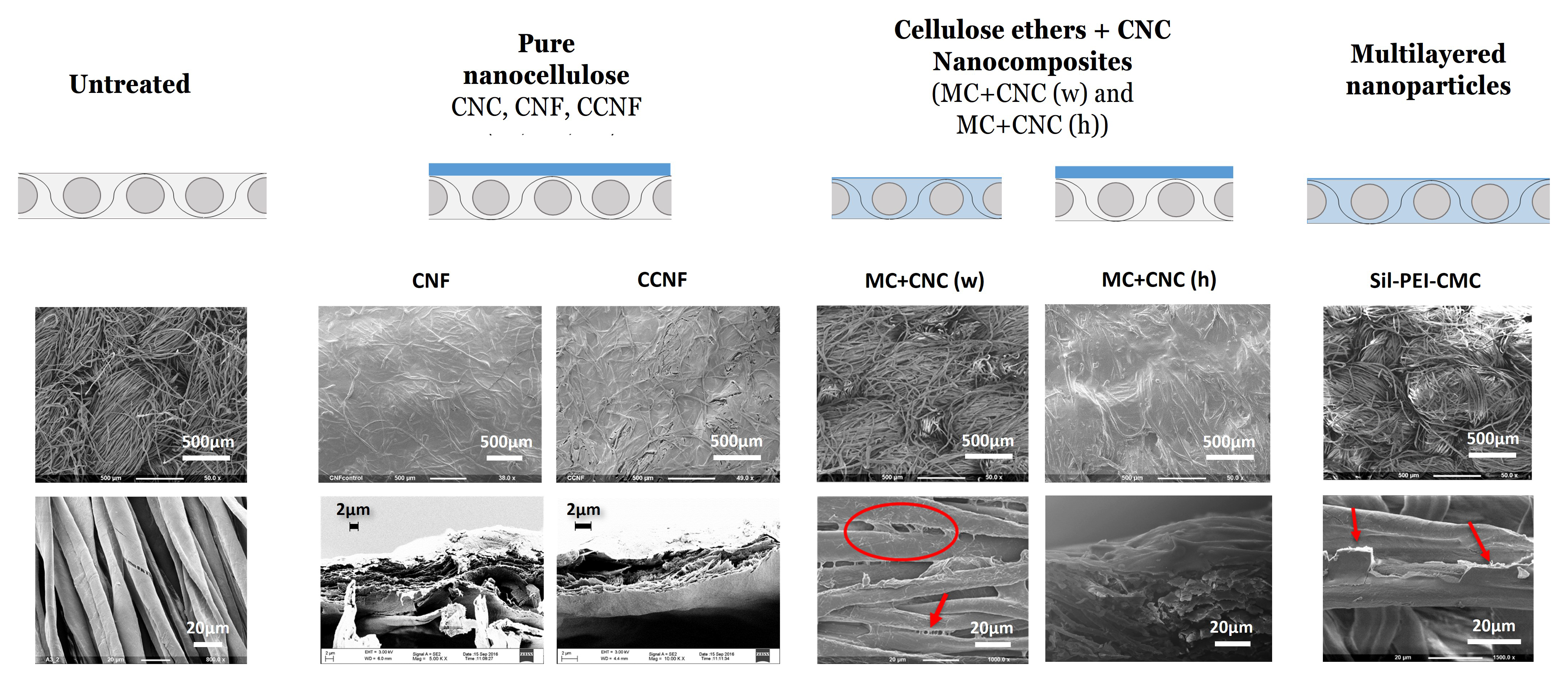 Different levels of magnification of the untreated canvas and each treatment. Red markings are present in Mc+CNC (w) and Sil-PEI-CMC on enlarged magnification.