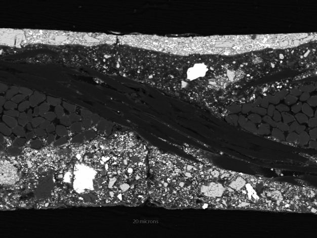 Black and white magnified, spotty image of paint.