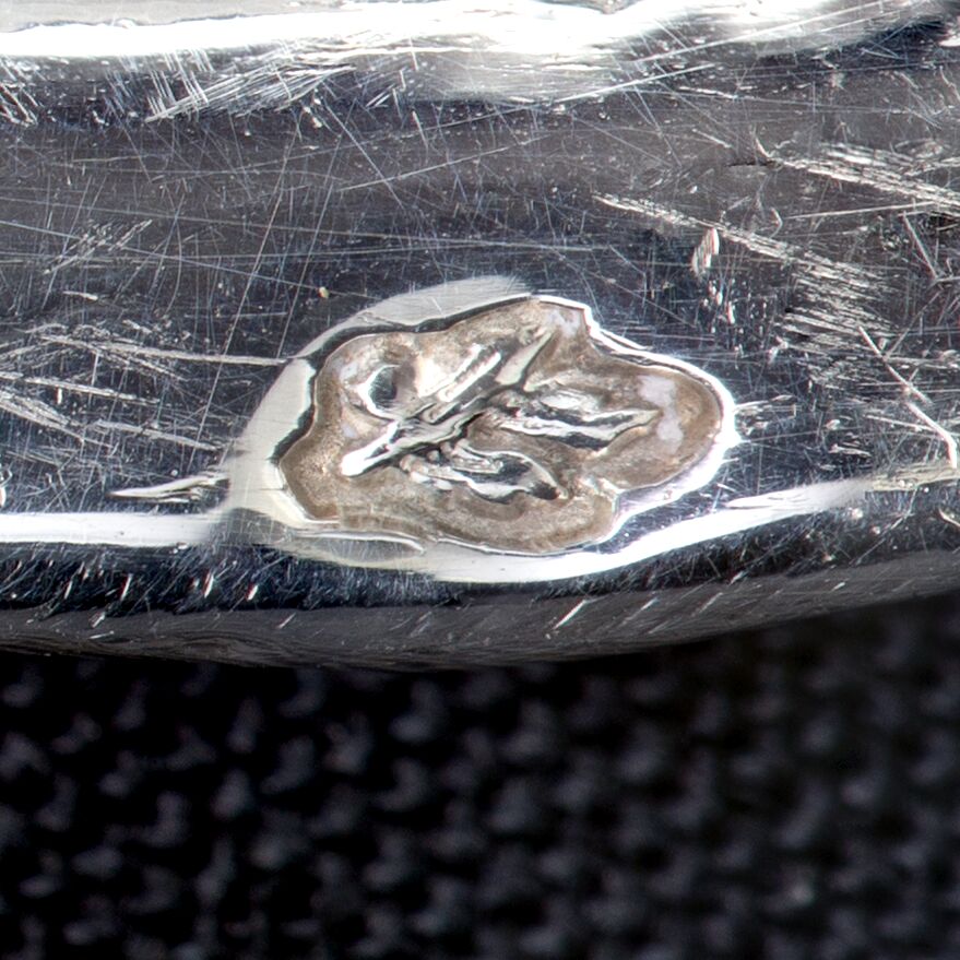 Close-up of laurel leaves and stem attached to the liner.