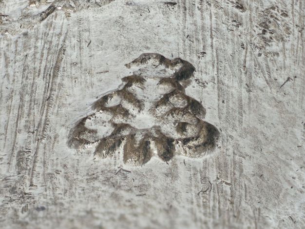 Close-up of the initials SG stamped on a sugar caster.