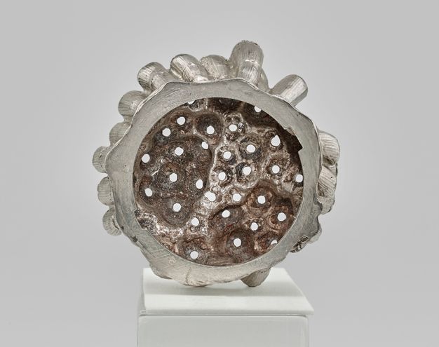 Bottom interior of bundle of sugarcane stalks revealing the holes on each stalk.