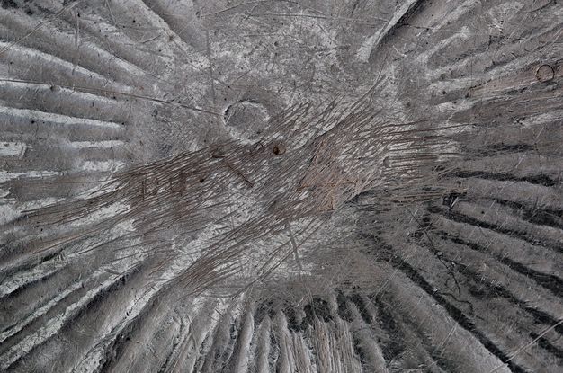 Close-up of the inscription DU N° 4 on the tureen.