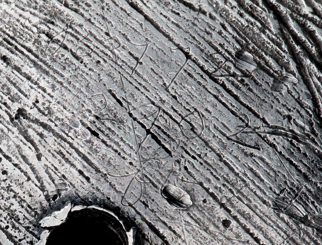 Close-up of the inscription 2902, B3772, and fr, from top to bottom.