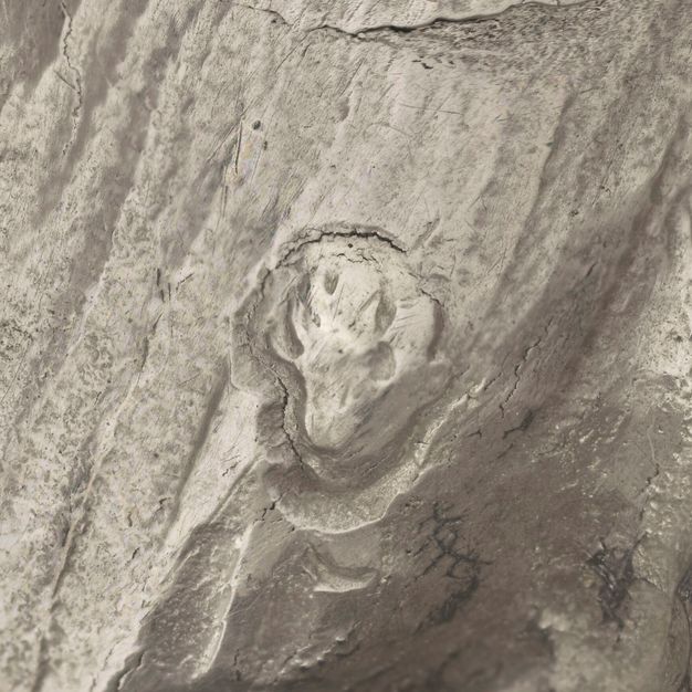 Close-up of a partially stamped human foot on the lid.