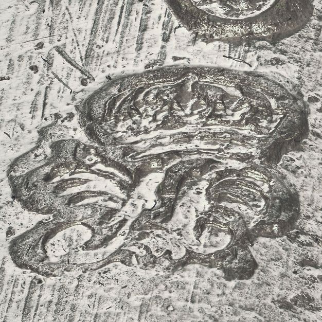 Close-up of a crowned A with palm branches coming out the sides stamped on the vessel.