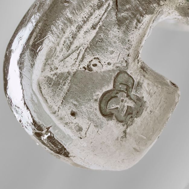 Close-up of a fly stamped on the lid.