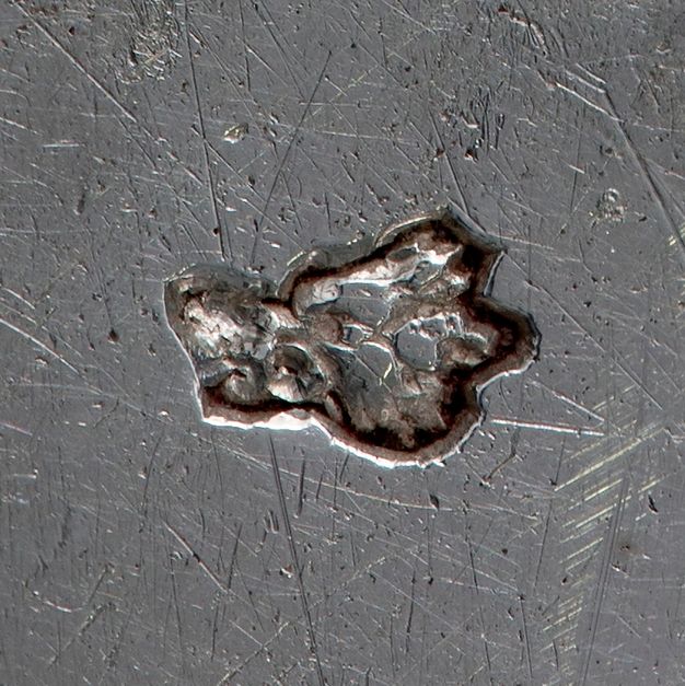 Close-up of a boar head attached on the liner.