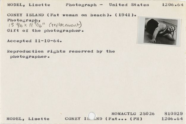 Typewritten card bearing a smaller thumbnail print of the same image shown on the catalog card in fig. 5. This card is also timeworn with a handwritten annotation noting dimensions and the word “replacement.”