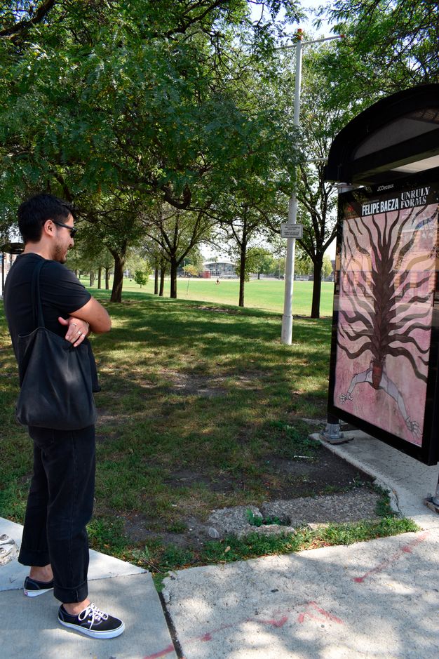 Color photograph of a person in a black short-sleeved t-shirt standing with crossed arms looking at the side of a bus shelter, which features an artwork with rootlike forms against a pink background. A park with greenery and trees extends behind the bus shelter.