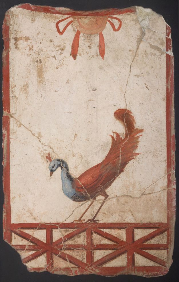 A mural fragment depicts a peacock with a raised tail perching upon a latticed red fence. The bird has red wings and blue neck feathers. A red shield, partially visible, hangs above it.