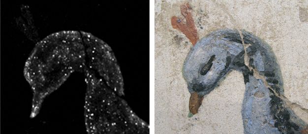 In the MA-XRF scan, white dots of various sizes and intensities appear in the area of the peacock’s head against a black background, shown beside the visible image of the blue head of the peacock on the textured stone.