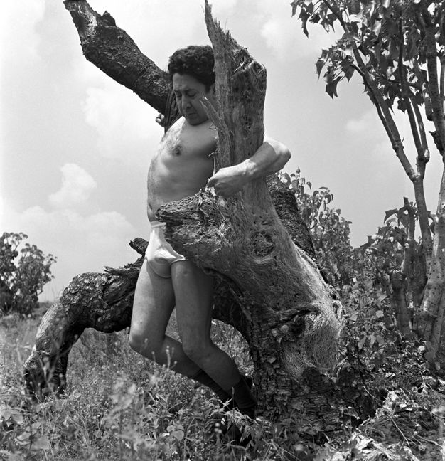 A black-and-white photograph shows a middle-aged man in underwear suspended in the crook of a tree trunk’s broken off branches. He lifts off the ground, arms wrapped around the tree. There is a mess of shrubs at the base.