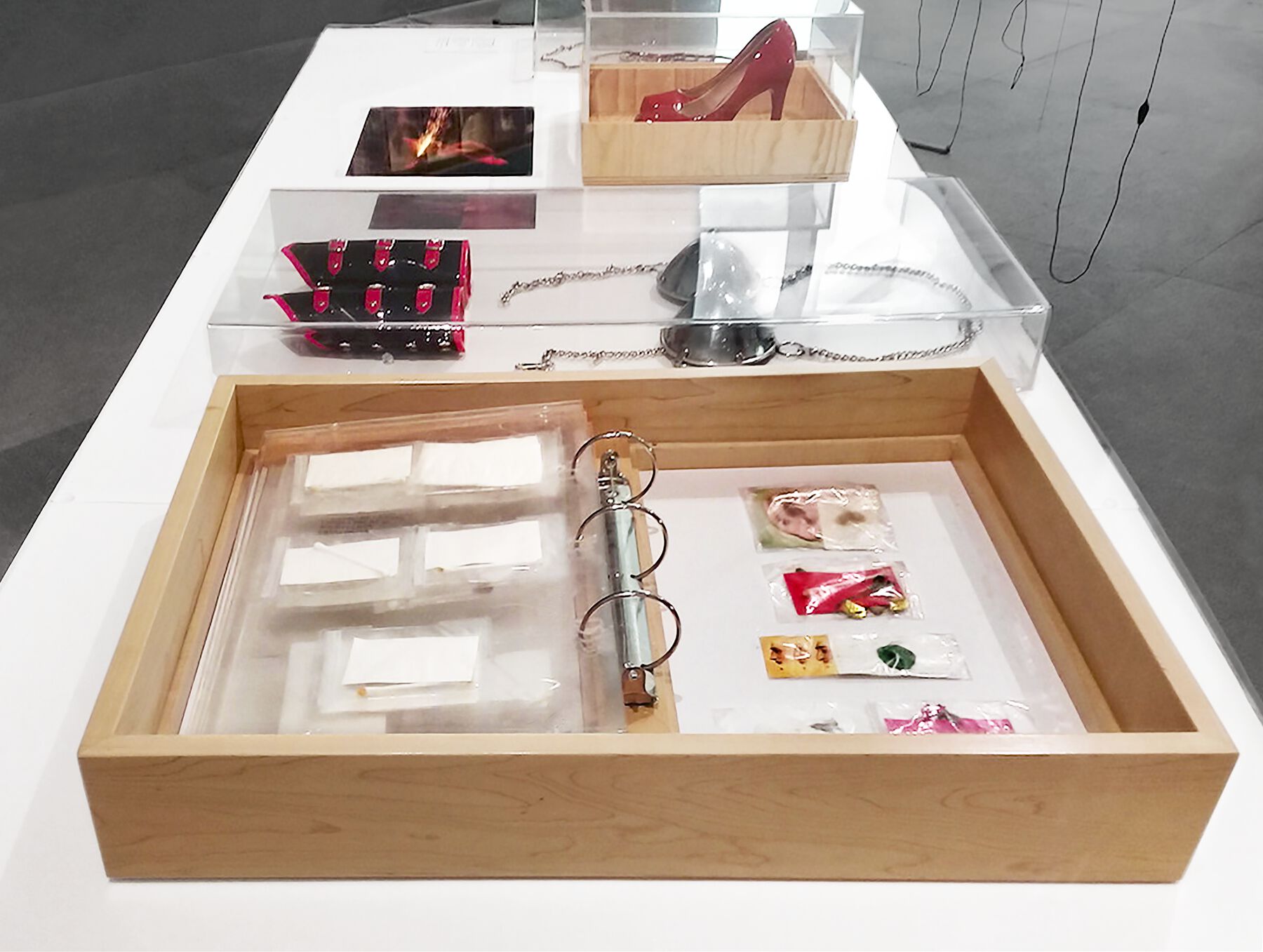 A wooden box containing a binder that is holding small packets of human mucus and earwax through transparent sheets