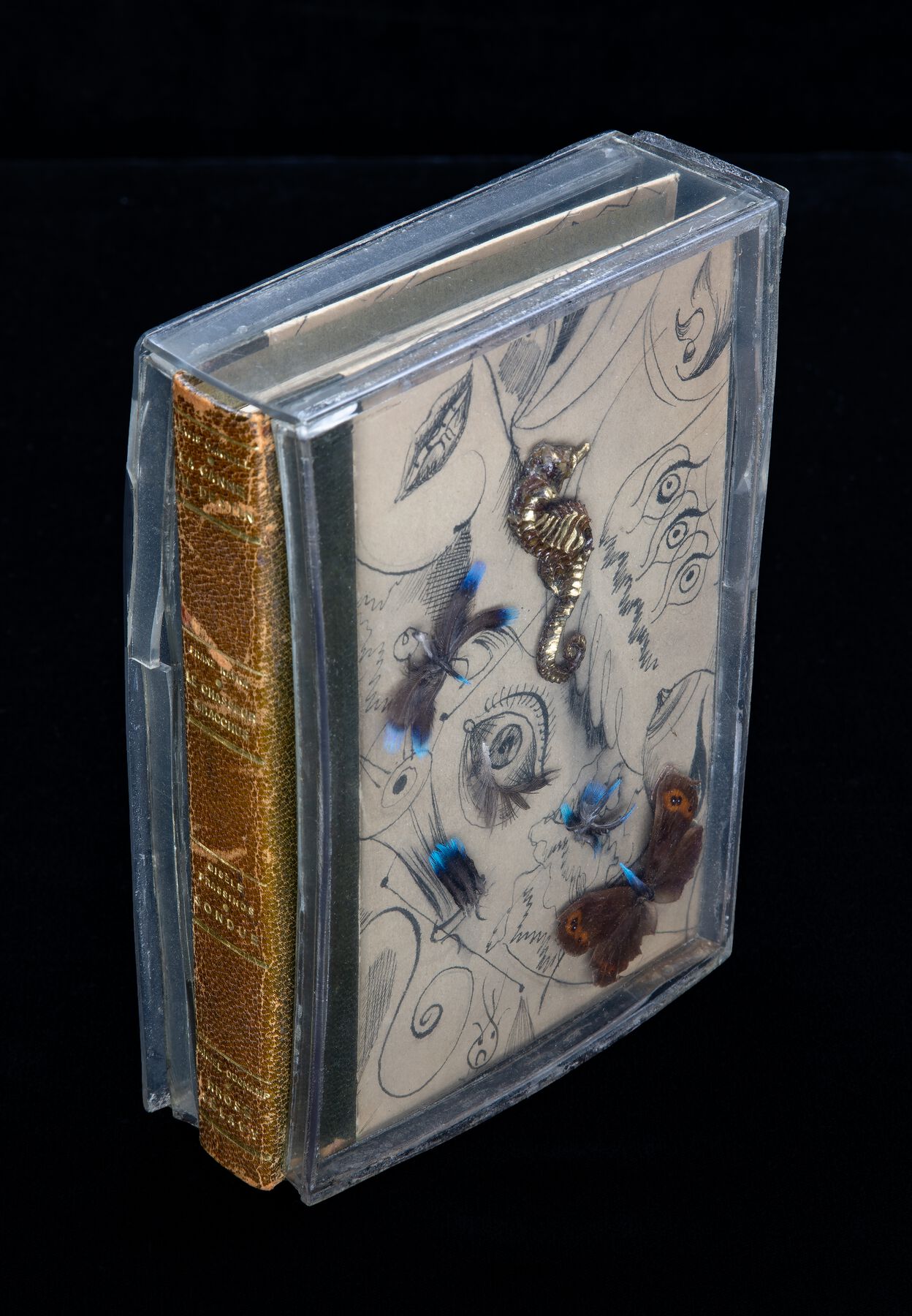 A book with thick blue edges with a spine of an antique book, displaying a 3-D seahore and 4 insects on top of a cover with drawings