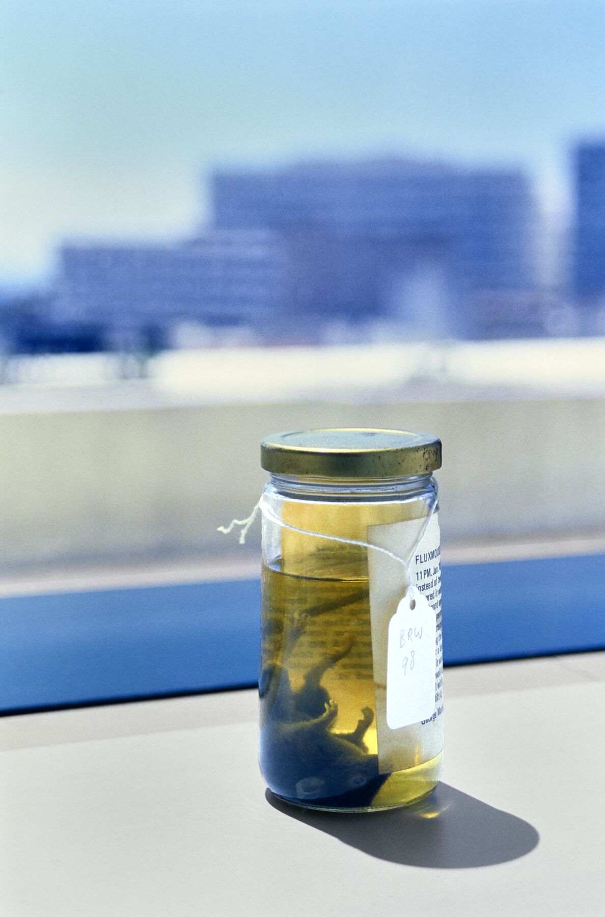 A container that holds a dead mouse submerged in liquid with a tag and label around the container