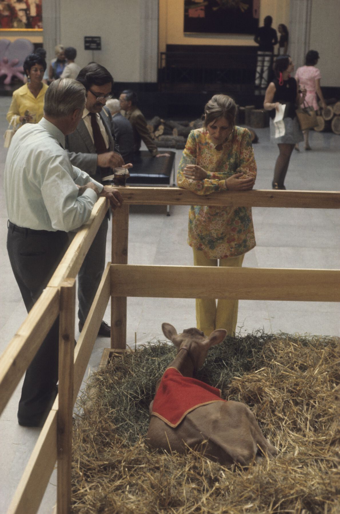 Three people stand around a fenced baby cow inside a galley while it lays in haystack