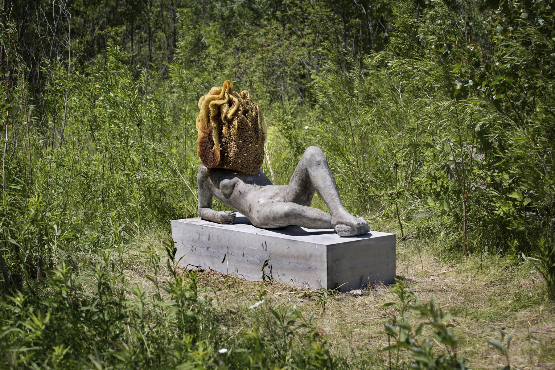 A figure sculpture with a beehive as a head display in the middle of a green foliage