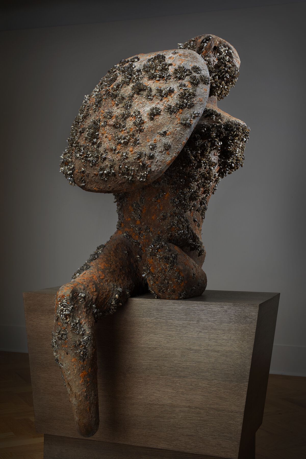 A limbless figure sculpture with a soft edge rectangle in the upper chest, cover with orange rust dots and zebra mussels