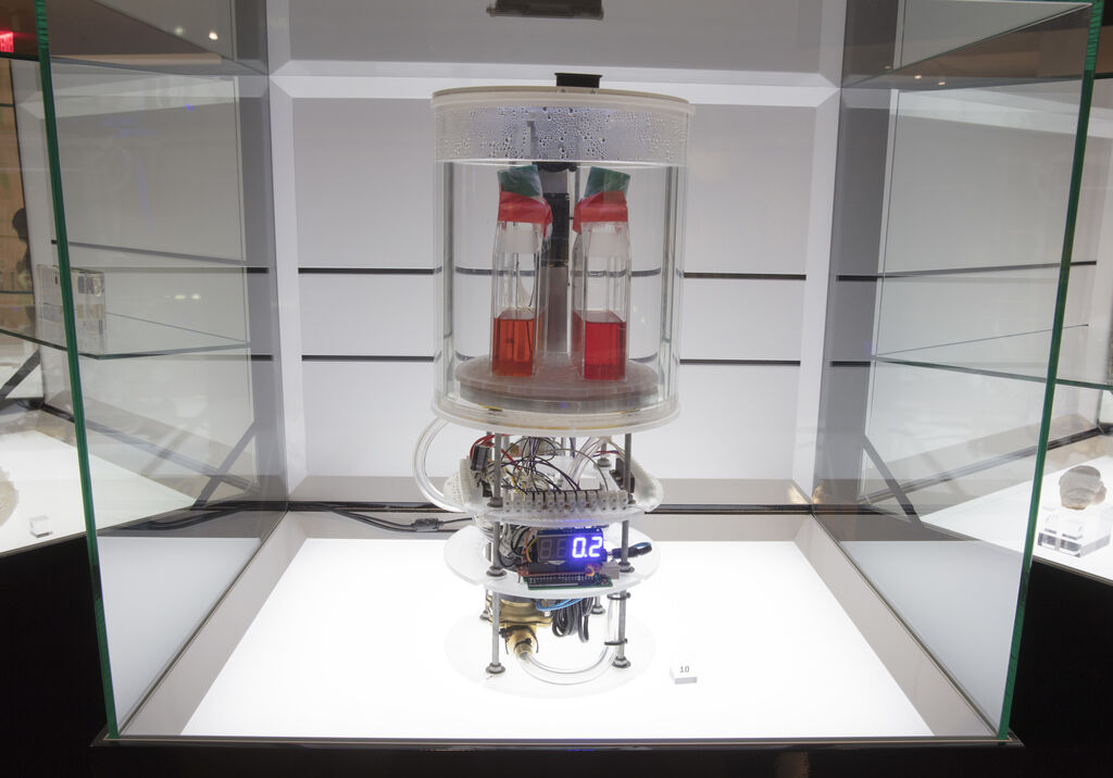 A close-up view of a black exhibition case that is showcasing a machine that has two tubes of bright pink live cells while wires go through the middle with a small monitor that display 0.2 