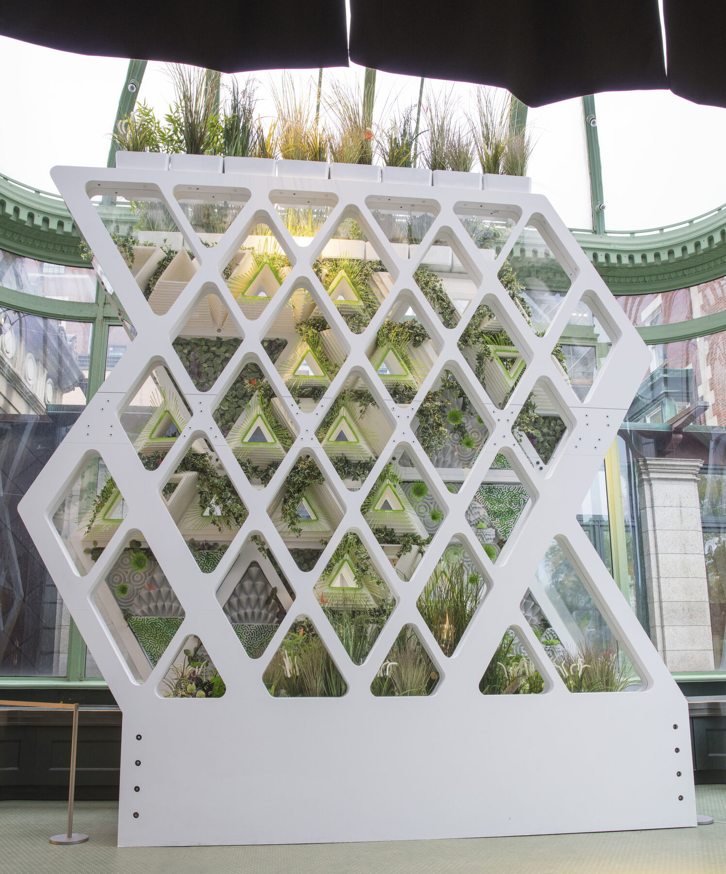 A rhombus-like structure with diamond pattern cut through with plants being hanged in between the structure