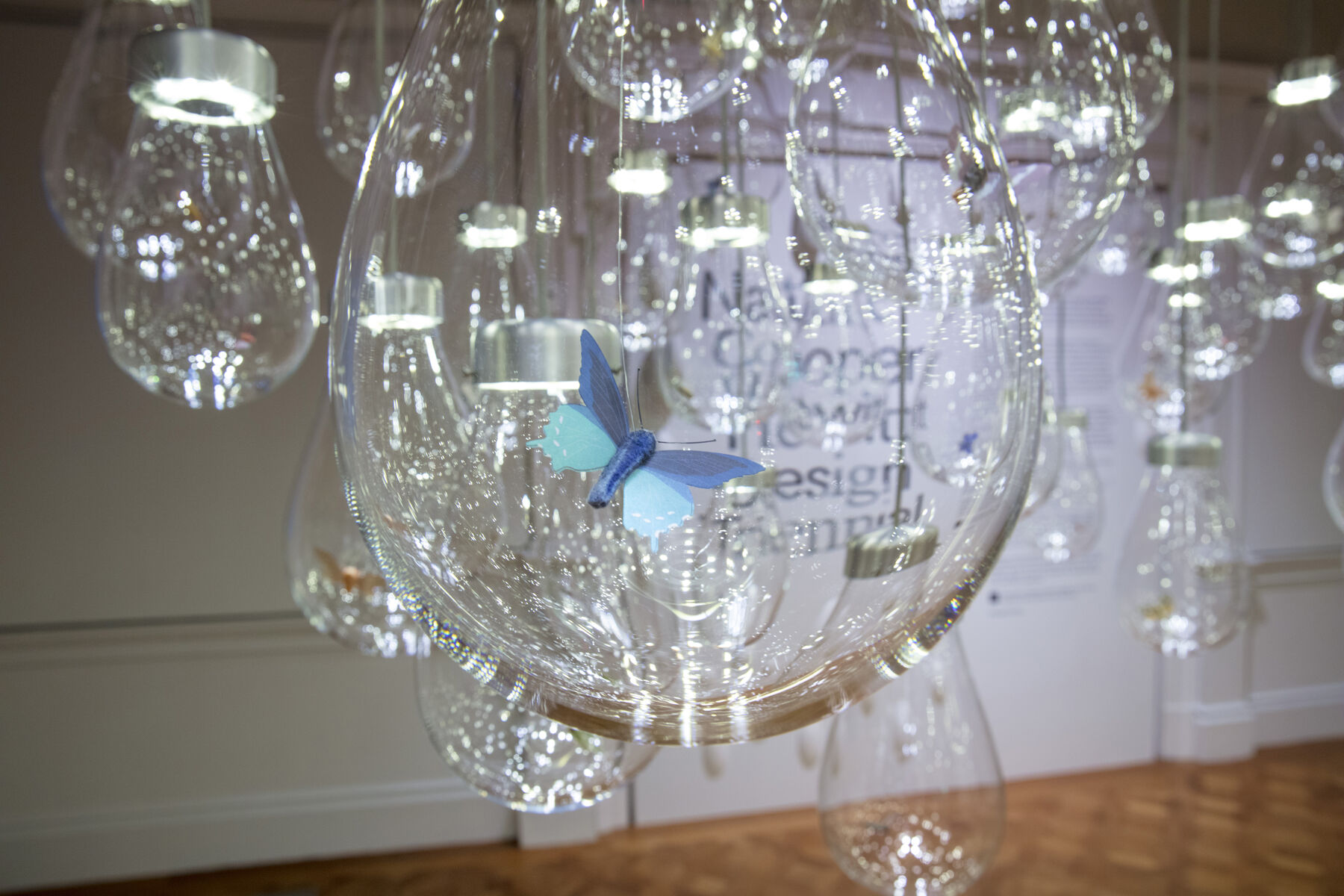 A close-up view of a blown glass bulb with a blue butter butterfly on top with other bulbs surrounding it