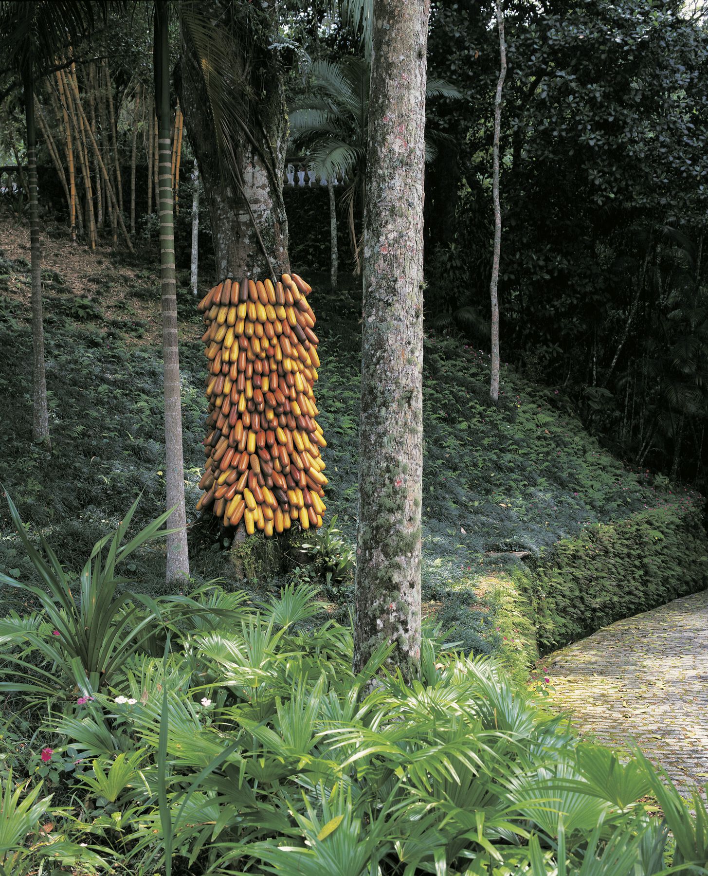 Yellow and orange rolls attached to tree trunk within forest, amidst colorful greenery and plants