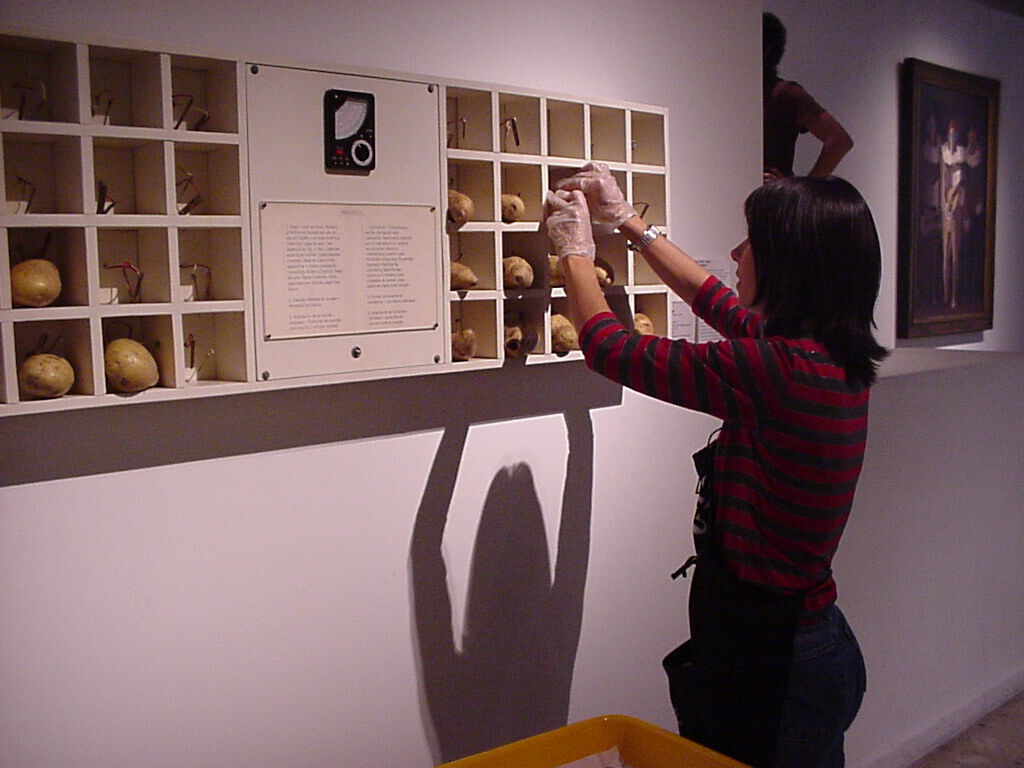 Wider shot of woman using gloved hands to adjust potato within its cubicle in the shelf