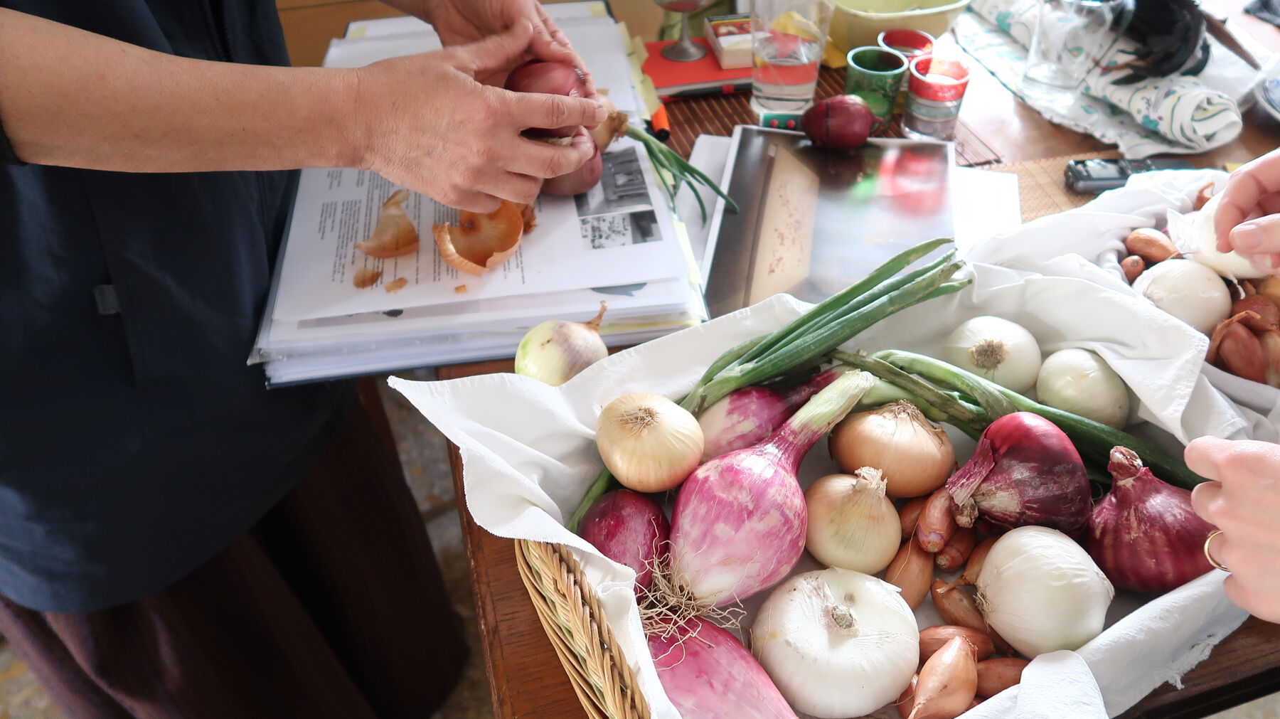 Assorted onions (white, purple, pink, reddish-orange) in basket with figure holding one above reference book