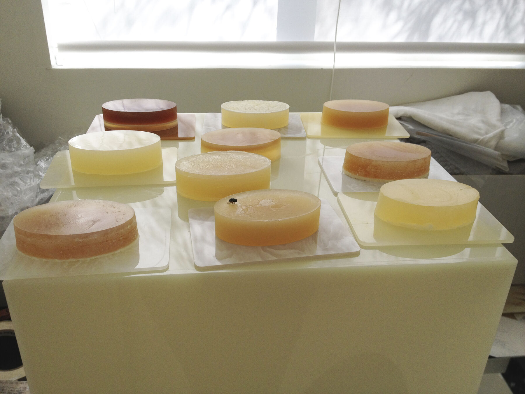 Sunlit rows of peach-, brown-, and cream-colored soaps on individual platters atop plinth; a fly sits on one