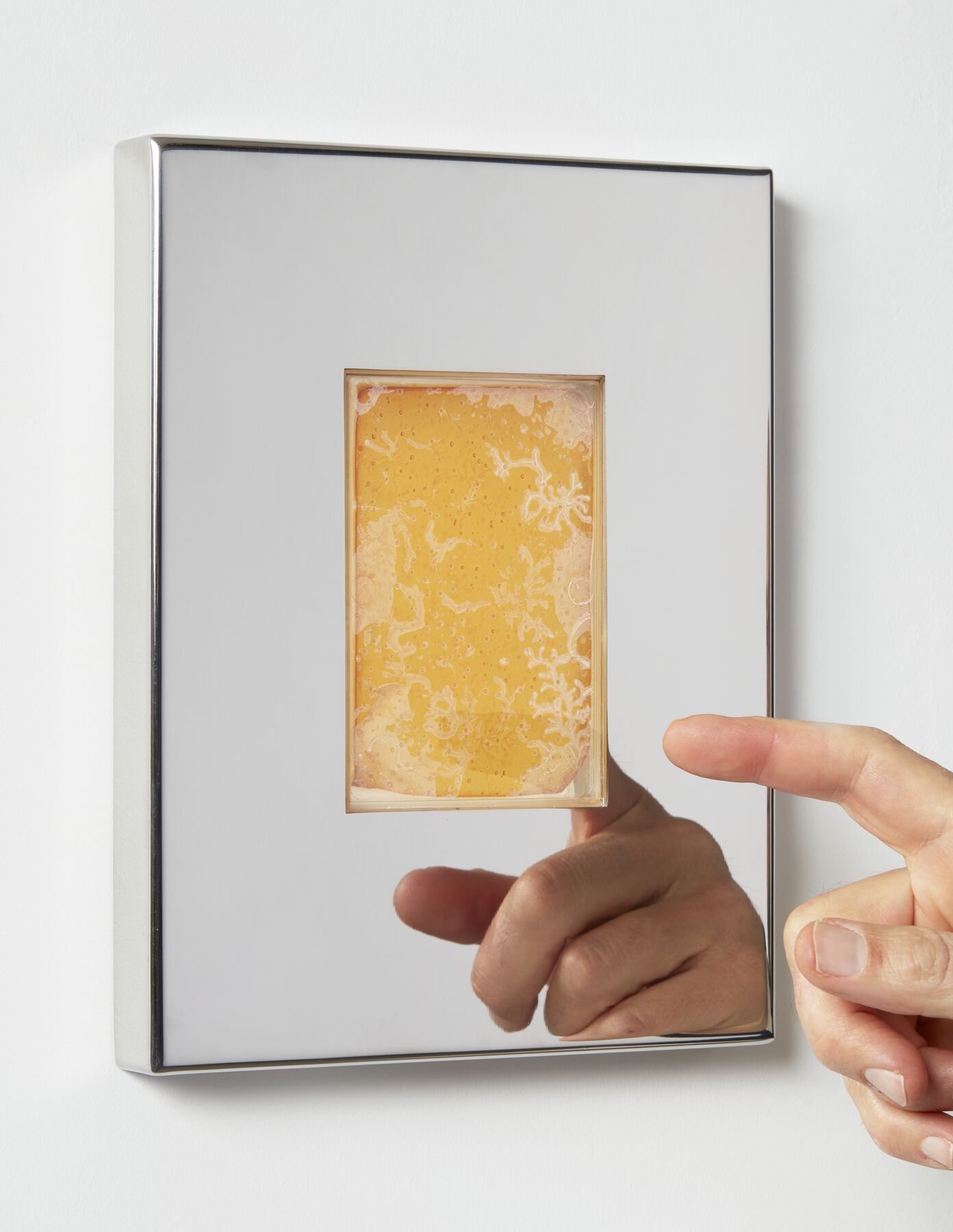 A mirrored plate with the artist’s replicated DNA with a finger pointing at it