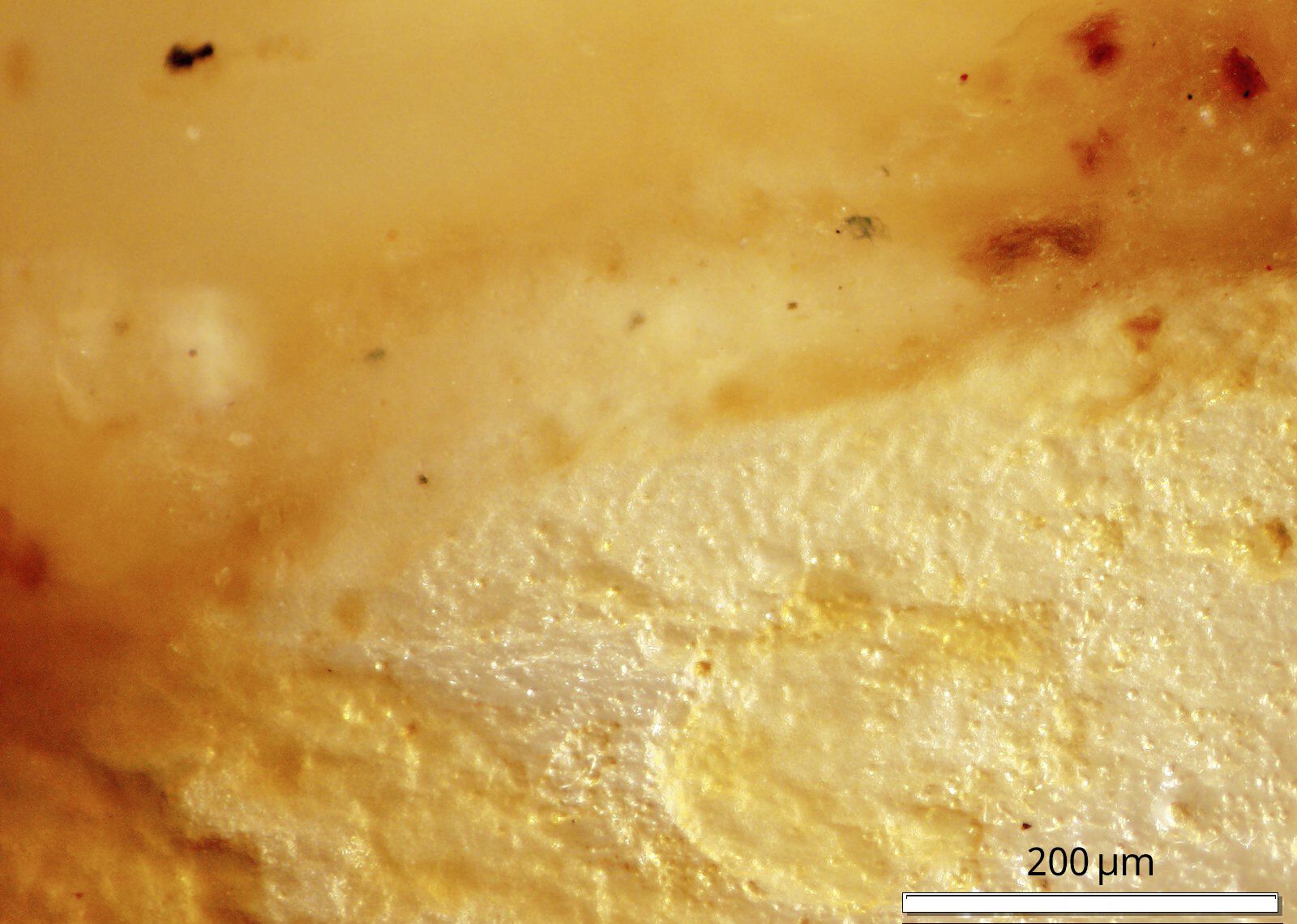 White and yellow porous material dissolving into liquid; reddish-orange spots seeping in from photo’s edges