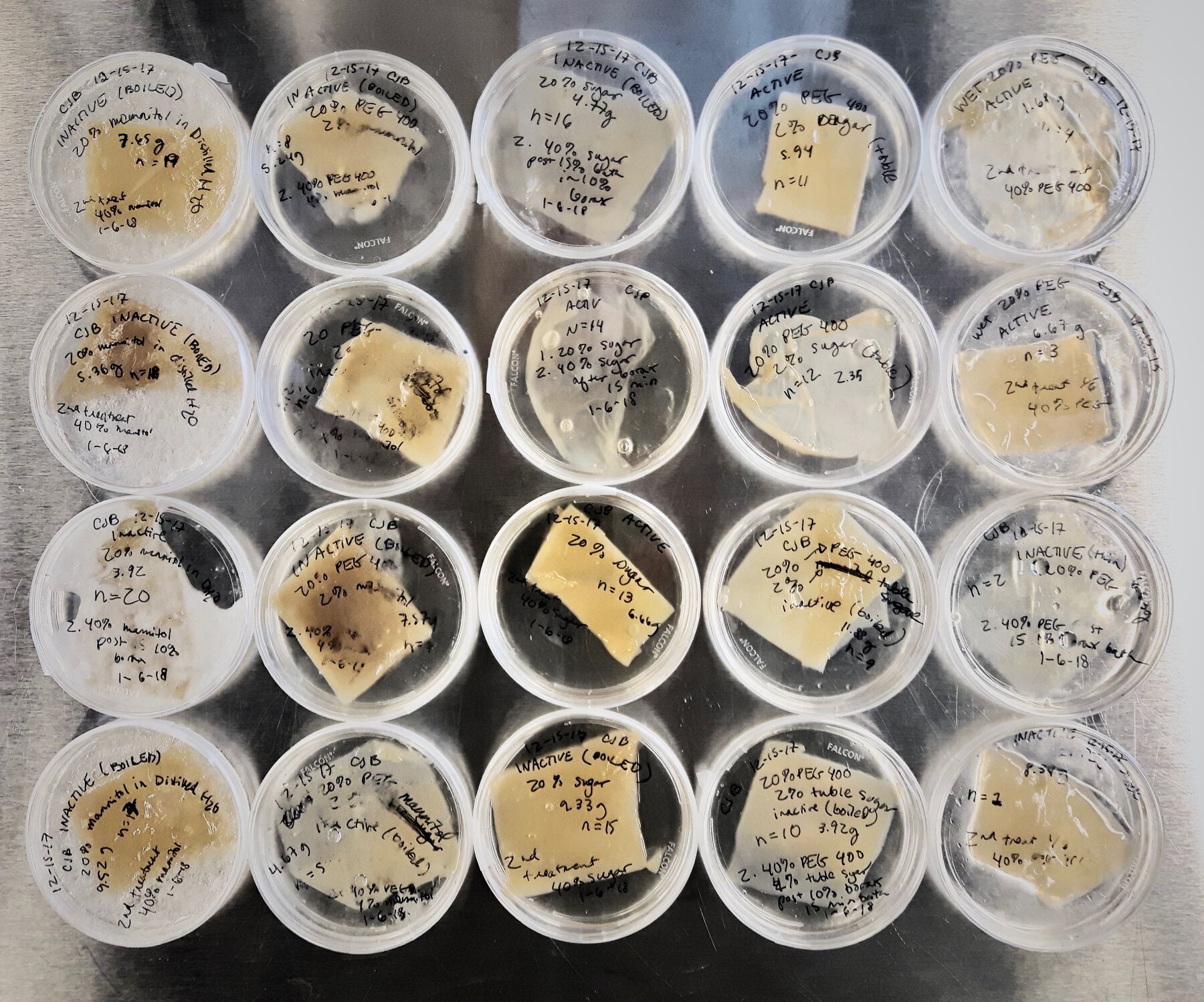 Four-by-five arrangement of round transparent cases with yellow and white rectangular samples and labels on lids