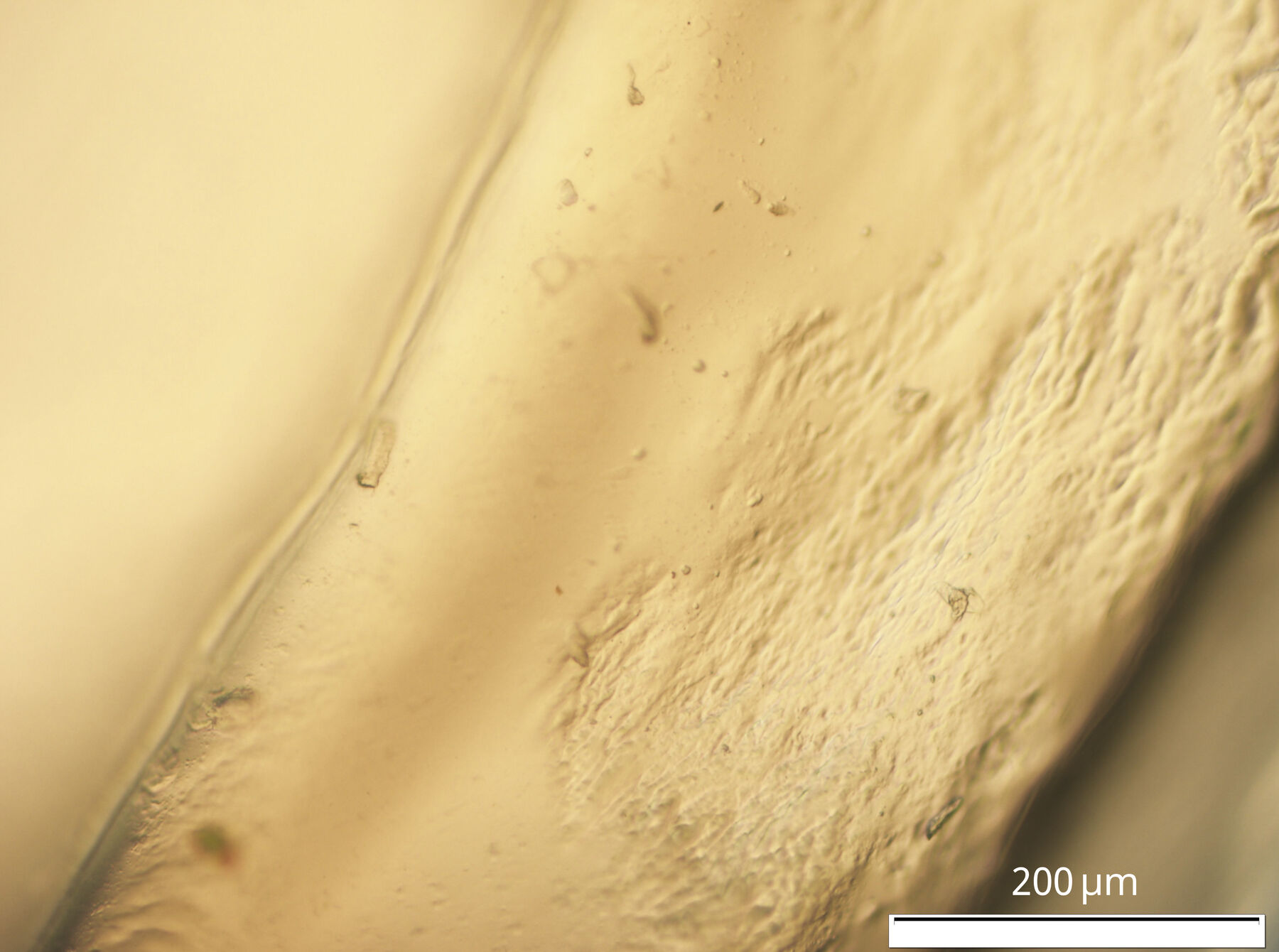 Smooth cream material on left with diagonal dip in middle and abrasions and flyaway-fragments on right