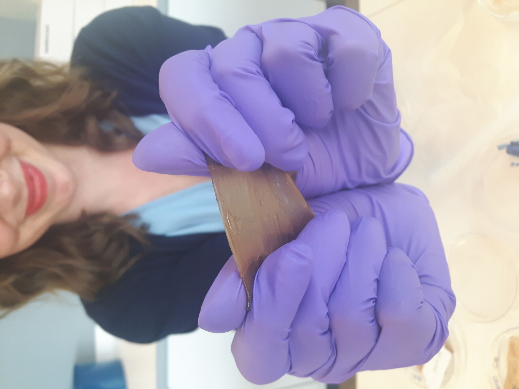 Purple-gloved hands stretch a brown jelly-like material; person is in a laboratory space