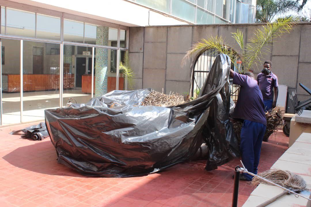 Two mean covering one of the gigantic chicken nests with a black polyethylene fumigation sheet