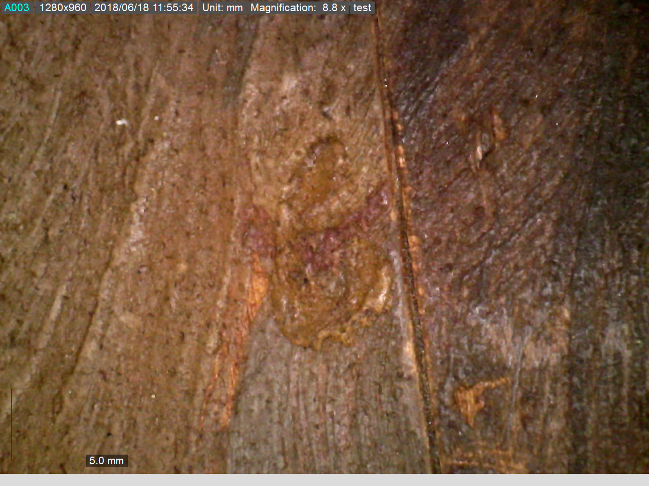 A close-up image of the girl's proper left earring. It is a hoop that encircles the earlobe. The brushstrokes in the portrait are visible.