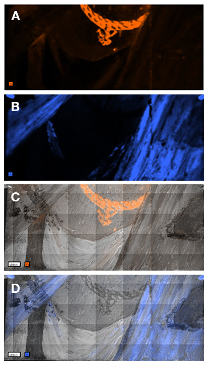 Detail images of a female portrait produced using four different imaging techniques to show the elemental distribution. Panel A is mostly dark except for the woman's necklace, which appears in bright orange. Panel B shows blue areas to the left and right edges of the image. Panel C overlays Panel A on a grayscale image of the portrait. Panel D similarly overlays Panel B on a grayscale image of the portrait showing the overlap between the blue areas and the individual's garments.