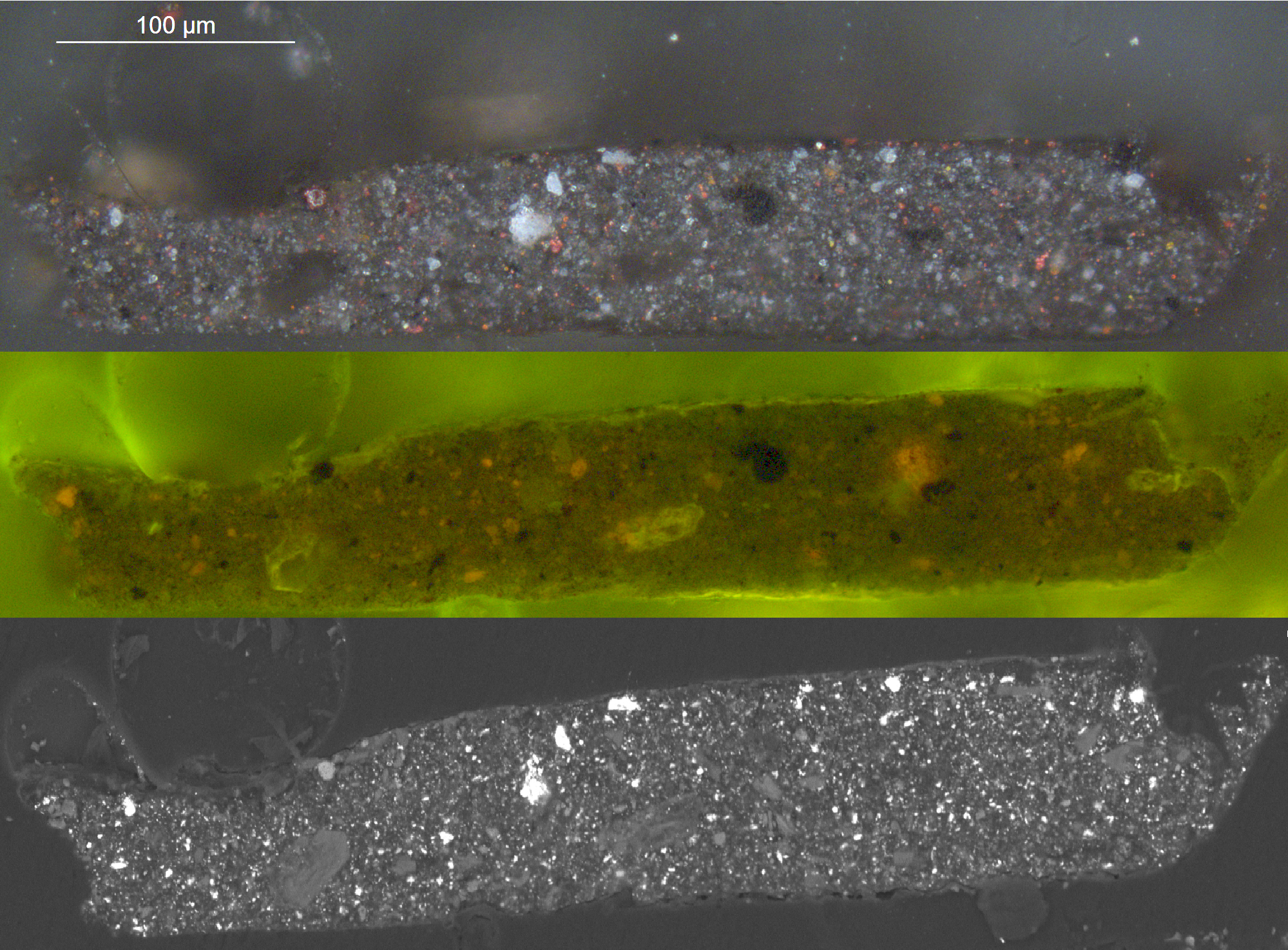 A cross-section from a portrait under different imaging conditions. There are three horizontal sections in this image. The sample in the top band, seen in visible light, appears silver with small scattered red pigments and several white specks that indicate lead. The middle sample, seen under UV-fluorescence, appears primarily green, and the red pigments appear as a brighter orange color. The SED-EDX image at the bottom shows the sample appears primarily silver, and the lead is bright white and scattered. 