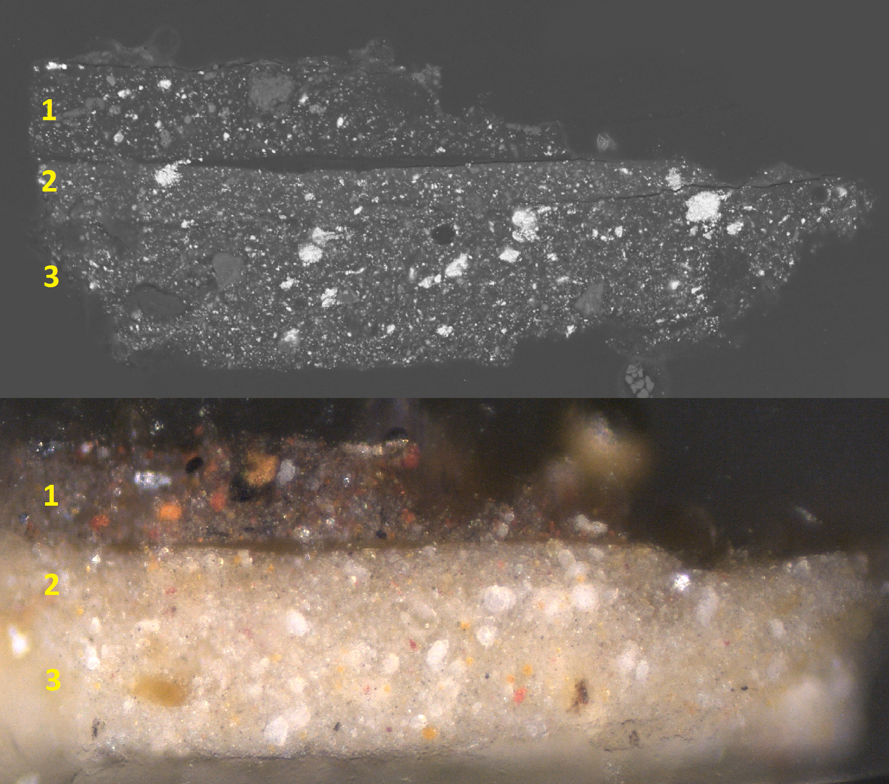 Cross-section showing the stratigraphy of the section of black hair from a portrait. There are two horizontal images within this image, one on top of the other. Each image has numbers 1, 2, and 3, vertically on the left side. Layer 1 shows the stratigraphy of black hair, above layers 2 and 3, which are two layers of light gray background color. The top image was made in visible light and is black and white. There are visible large white specks within each layer, but primarily at in the bottom two layers. In the bottom image, made with SEM-EDX imaging, layer 1 is distinctly darker in color, with more pigmented specks ranging in color from orange, red, black, and white. Layers 2 and 3 are very similar, being primarily tan in color, with specks of white. Layer 2 has a few specks of bright orange toward the middle. 