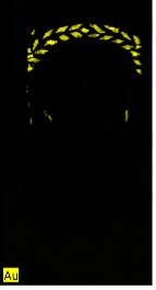 Image mapping the presence of gold in a portrait. The entire image is shown in black except for a wreath headband and a pair of earrings that appear in bright yellow.