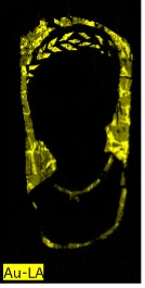 Image mapping the presence of gold in a portrait by showing in black the silhouette of a person's head and upper body and highlighting in bright yellow the wreath headband and necklaces worn by the individual as well as the background.