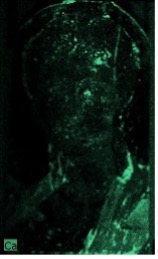 A predominantly black image with green areas in the central section of the portrait and the individual's garments.