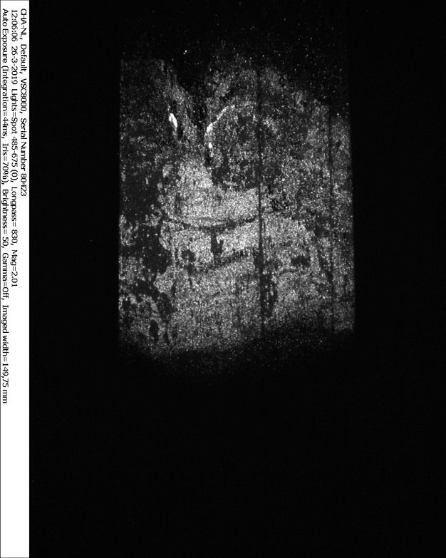 VIL image of the lady's forehead and hairline in the fragment in figure 1.2. Her forehead and hair are varying shades of light gray. The image is black below her brows.