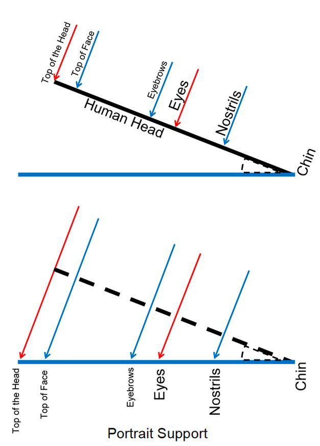 Two acute angles, one on top of the other, showing portrait support, or the sight lines when the human head is viewed straight on. The first diagram illustrates sight lines when the human head is viewed straight-on. The angle is marked as the chin and the upper arm lists facial features with Nostrils being closest to chin and the Top of the Head is farthest from Chin. From closest to farthest in an ascending line: Nostrils, Eyes, Eyebrows, Top of Face, and Top of Head. The second diagram shows correspoinding locations on a mummy portrait support using the same viewing location. The angle is again marked as Chin, and the facial features appear on the bottom arm in the same order of closest to farthest but on a flat line: Nostrils, Eyes, Eyebrows, Top of Face, and Top of Head. In both diagrams, the arrows pointing to the list of facial features is red for Eyes and Top pf the head, and blue for Nostrils, Eyebrows, and Top of face.