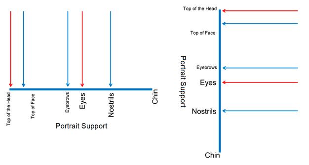 Two diagrams showing the straight-on viewing of the resultant mummy portrait with upwardly displaced facial features, in two different orientations. The first diagram is a horizontal line showing portrait support with downward arrows pointing to facial features. The far right end of the line is marked Chin, and from closest to the chin to farthest the facial features are Nostrils, Eyes, Eyebrows, Top of Face, and Top of the Head. The second diagram is a vertical line showing portrait support with downward arrows pointing to facial features. The bottom end of the line is marked Chin, and from closest to the chin to farthest, the facial features are Nostrils, Eyes, Eyebrows, Top of Face, and Top of the Head. In both diagrams, the arrows pointing to the list of facial features are red for Eyes and the Top of the head, and blue for Nostrils, Eyebrows, and the Top of the face.