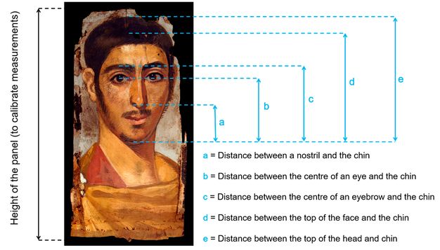 This diagram shows a portrait of a young man. The Y axis of the diagram is labeled “Height of the panel (to calibrate measurements)” with lines pointing to the ends of the portrait. On the right side of the diagram, there are several letters that point to certain distances on the portrait. The letters range from A to E, letter A being the shortest distance, and E being the longest. Letter A shows the distance between a nostril and the chin. Letter B shows the distance between the center of an eye and the chin. Letter C shows the distance between the center of an eyebrow and the chin. Letter D shows the distance between the top of the face and the chin. Letter E shows the distance between the top of the head and the chin. 