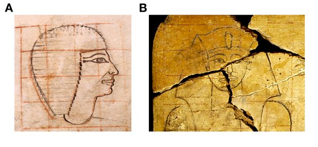 Image of two Pharaonic portraits side by side. Image A is of the Pharaoh en profile and facing to the right. Image B is of a fractured portrait of a Pharaoh en face. In image A the Pharaoh wears a wig and only the head and neck are visible. In image B, the Pharaoh wears a headdress and his shoulders are visible. There are faint markings of a grid on both images. In both images, the eyes and nose appear in the second row.  